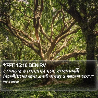 গননা 15:16 BENIRV Bible Verse Image