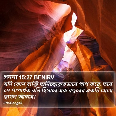গননা 15:27 BENIRV Bible Verse Image