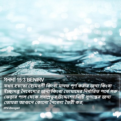 গননা 15:3 BENIRV Bible Verse Image