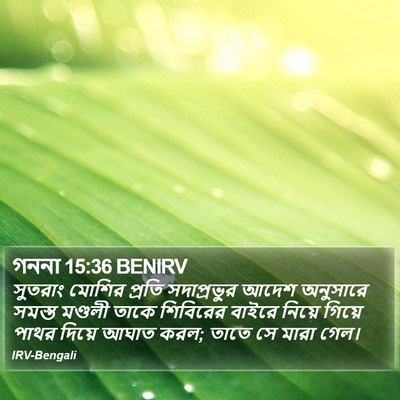 গননা 15:36 BENIRV Bible Verse Image
