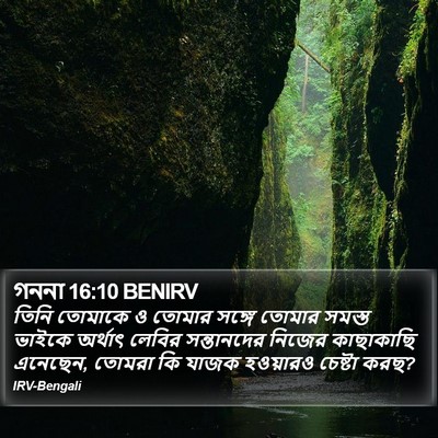 গননা 16:10 BENIRV Bible Verse Image