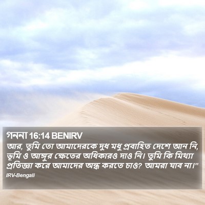 গননা 16:14 BENIRV Bible Verse Image
