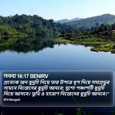 গননা 16:17 BENIRV Bible Verse Image
