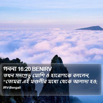 গননা 16:20 BENIRV Bible Verse Image