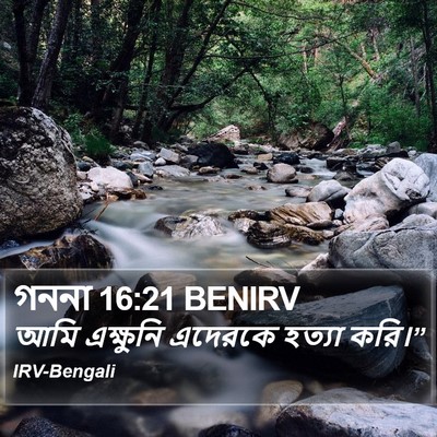 গননা 16:21 BENIRV Bible Verse Image