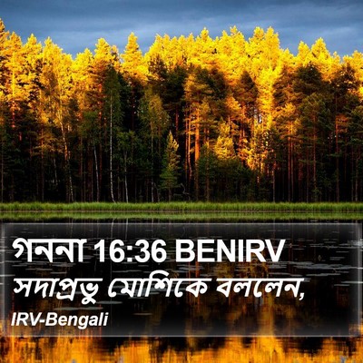 গননা 16:36 BENIRV Bible Verse Image