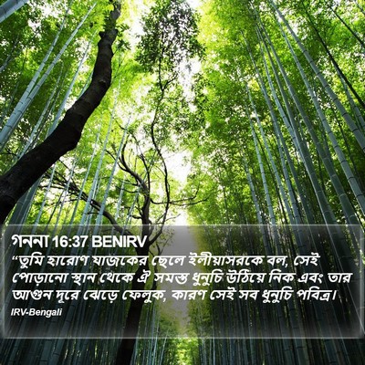 গননা 16:37 BENIRV Bible Verse Image