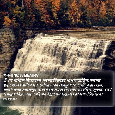 গননা 16:38 BENIRV Bible Verse Image