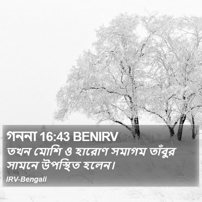 গননা 16:43 BENIRV Bible Verse Image