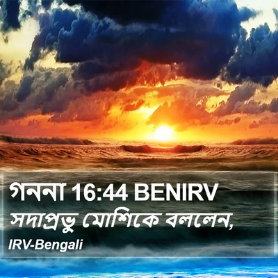 গননা 16:44 BENIRV Bible Verse Image