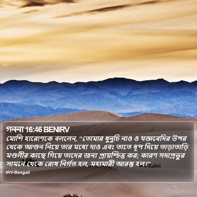 গননা 16:46 BENIRV Bible Verse Image
