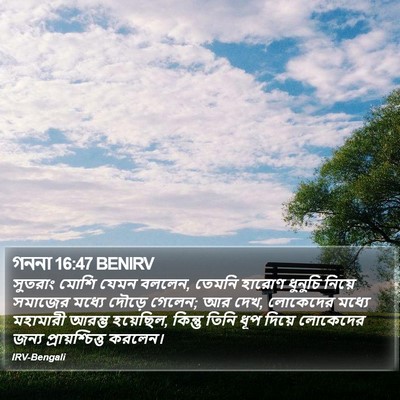গননা 16:47 BENIRV Bible Verse Image
