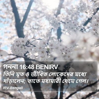 গননা 16:48 BENIRV Bible Verse Image