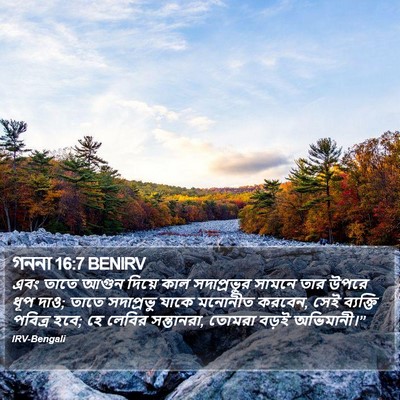 গননা 16:7 BENIRV Bible Verse Image
