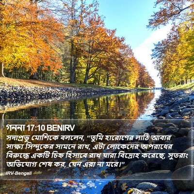 গননা 17:10 BENIRV Bible Verse Image