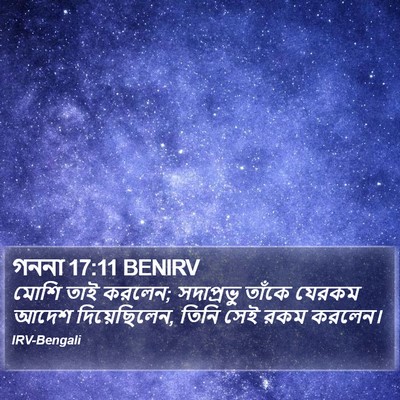 গননা 17:11 BENIRV Bible Verse Image