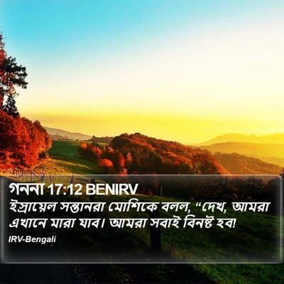গননা 17:12 BENIRV Bible Verse Image