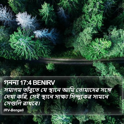গননা 17:4 BENIRV Bible Verse Image