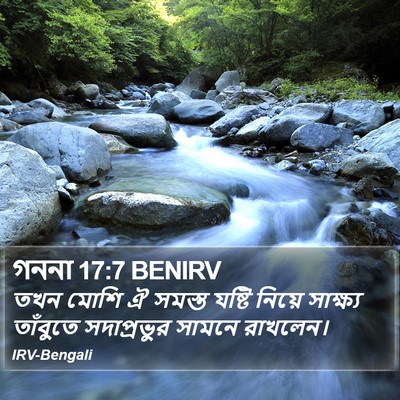 গননা 17:7 BENIRV Bible Verse Image
