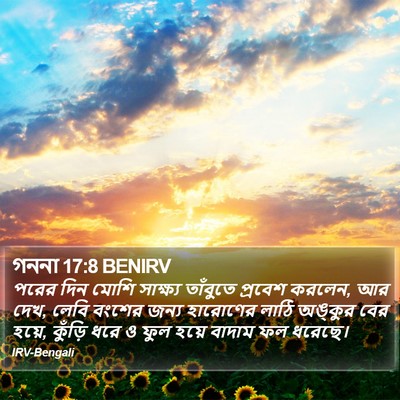 গননা 17:8 BENIRV Bible Verse Image
