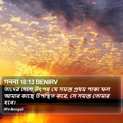 গননা 18:13 BENIRV Bible Verse Image