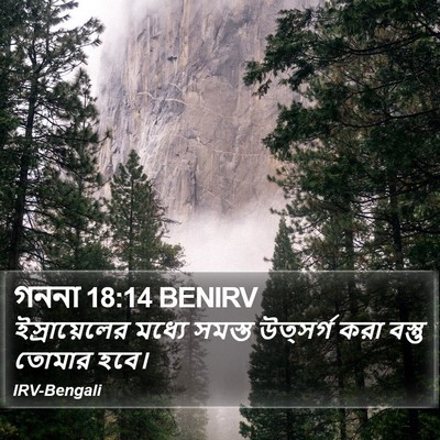 গননা 18:14 BENIRV Bible Verse Image