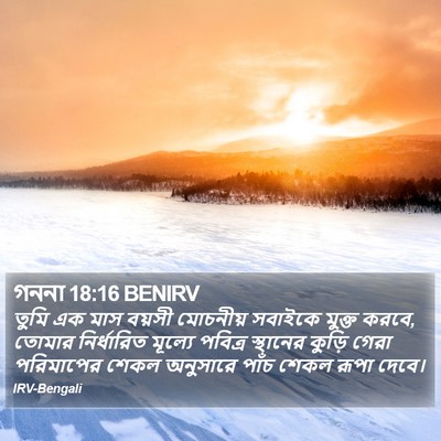 গননা 18:16 BENIRV Bible Verse Image