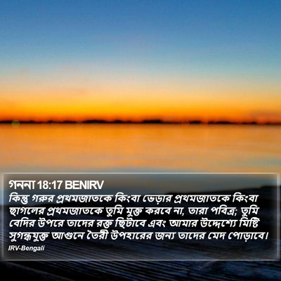 গননা 18:17 BENIRV Bible Verse Image