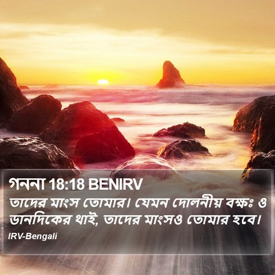 গননা 18:18 BENIRV Bible Verse Image