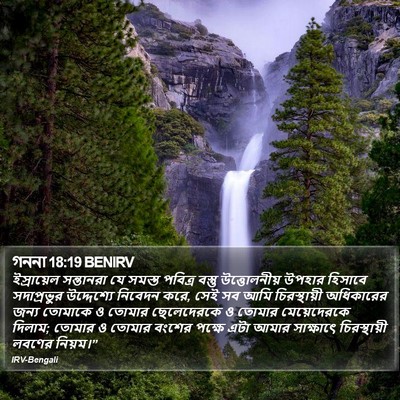 গননা 18:19 BENIRV Bible Verse Image