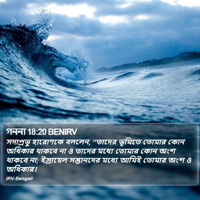 গননা 18:20 BENIRV Bible Verse Image