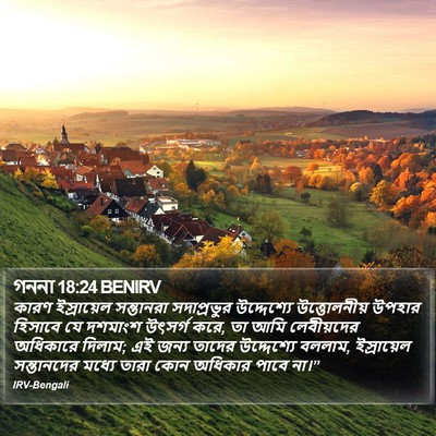 গননা 18:24 BENIRV Bible Verse Image