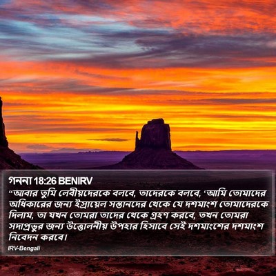 গননা 18:26 BENIRV Bible Verse Image