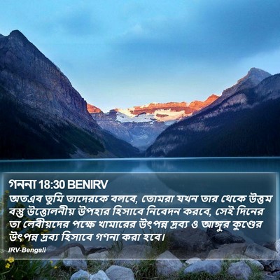 গননা 18:30 BENIRV Bible Verse Image