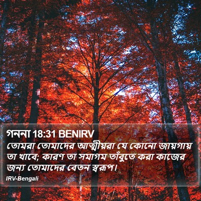 গননা 18:31 BENIRV Bible Verse Image