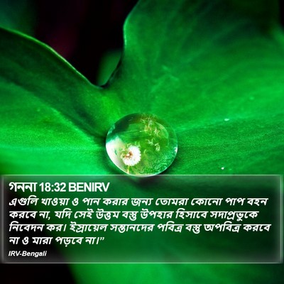 গননা 18:32 BENIRV Bible Verse Image