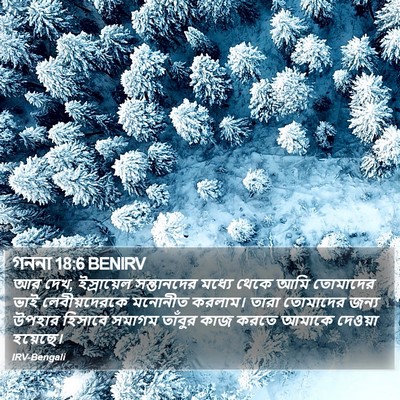 গননা 18:6 BENIRV Bible Verse Image