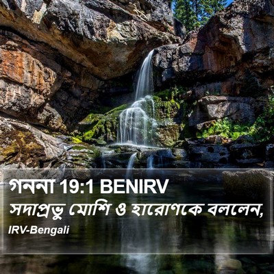 গননা 19:1 BENIRV Bible Verse Image