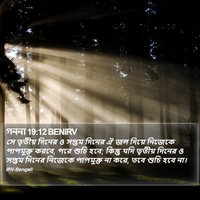 গননা 19:12 BENIRV Bible Verse Image