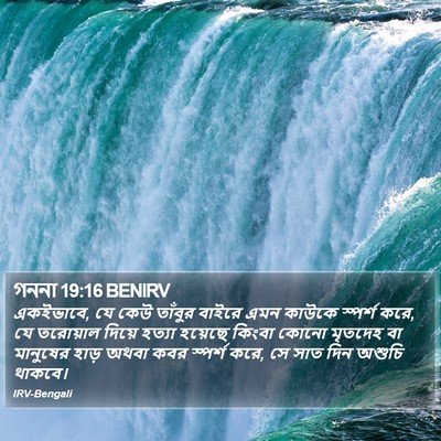 গননা 19:16 BENIRV Bible Verse Image