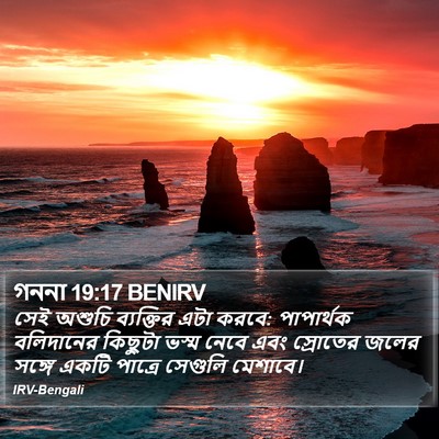 গননা 19:17 BENIRV Bible Verse Image