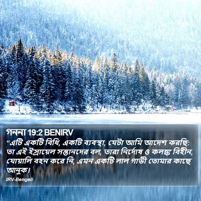 গননা 19:2 BENIRV Bible Verse Image