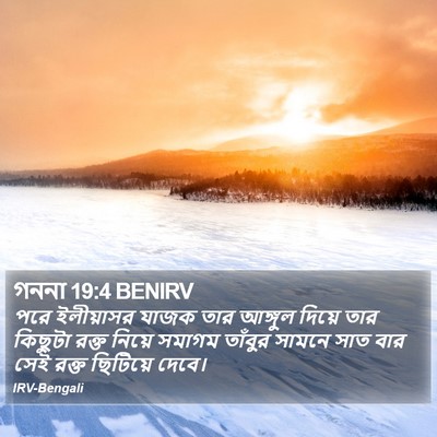 গননা 19:4 BENIRV Bible Verse Image