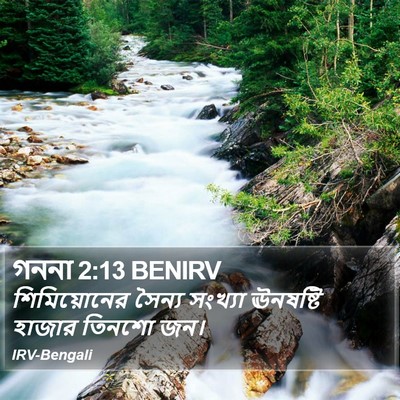 গননা 2:13 BENIRV Bible Verse Image