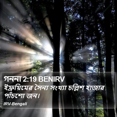 গননা 2:19 BENIRV Bible Verse Image