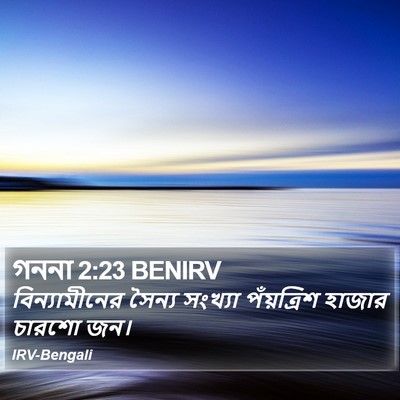 গননা 2:23 BENIRV Bible Verse Image