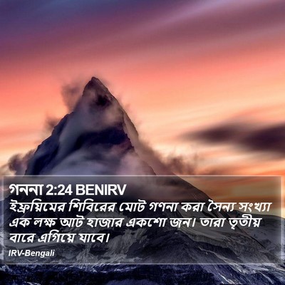 গননা 2:24 BENIRV Bible Verse Image