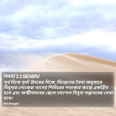 গননা 2:3 BENIRV Bible Verse Image