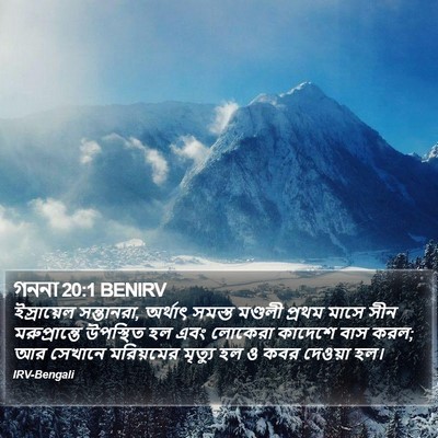 গননা 20:1 BENIRV Bible Verse Image