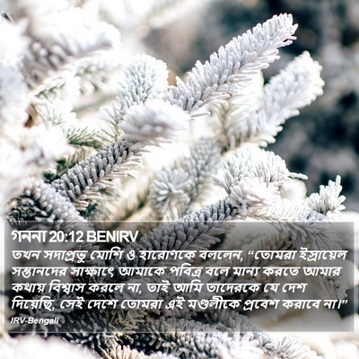 গননা 20:12 BENIRV Bible Verse Image